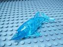 dolphin_translight_blue.jpg