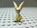 lemur_momo.jpg