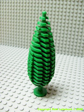 cypress_tree.jpg