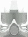 mask3.gif