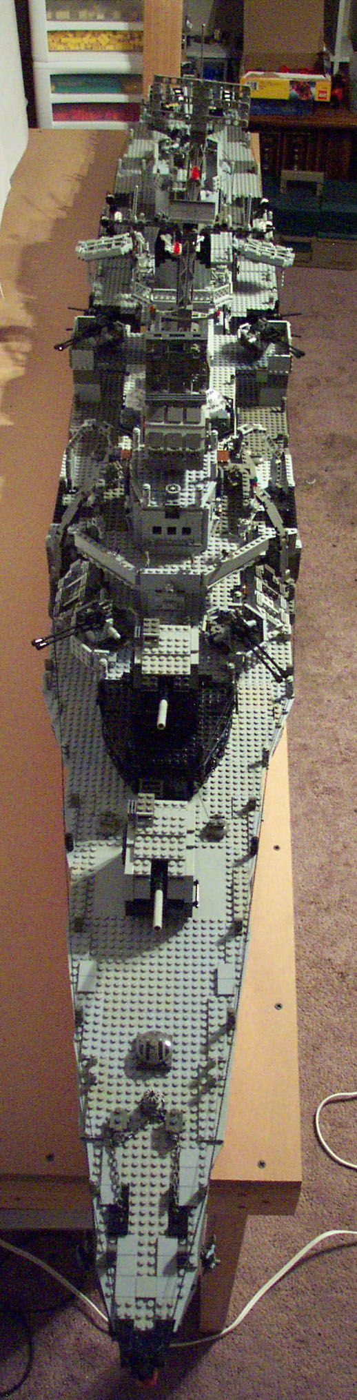 heermann_012.jpg