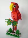Macaw