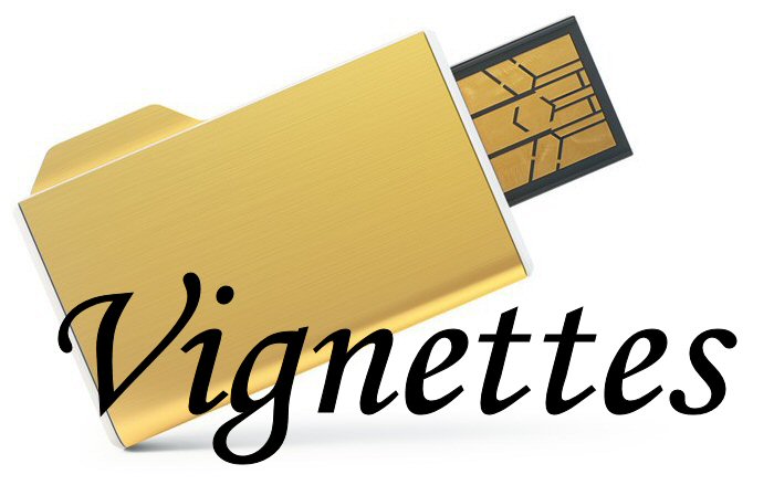 vignettes.jpg