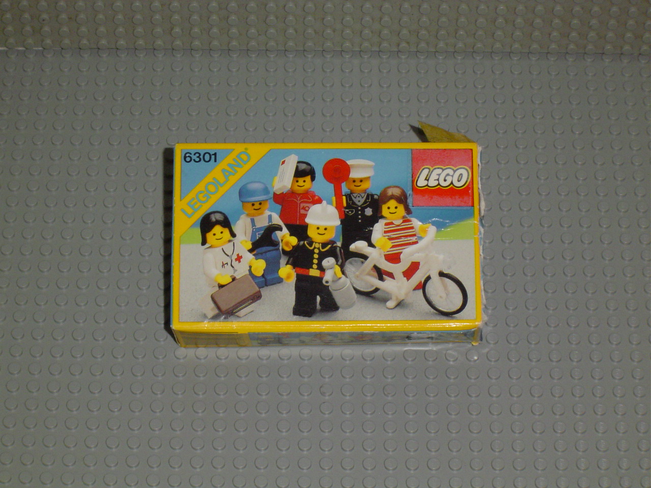 6301.jpg