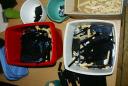 dsc01657.jpg