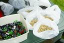 dsc01679.jpg