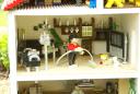 dsc01265.jpg