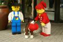 dsc01331.jpg