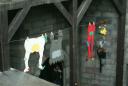 dsc01382.jpg