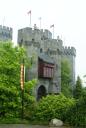 dsc01388.jpg