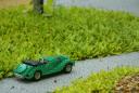 dsc01465.jpg