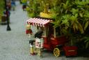 dsc01480.jpg