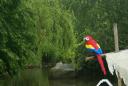 dsc01554.jpg