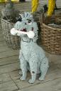 dsc01561.jpg