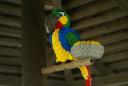 dsc01562.jpg