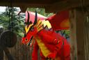 dsc01573.jpg