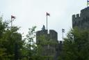 dsc01578.jpg