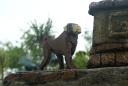 dsc01613.jpg