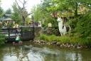 dsc01615.jpg