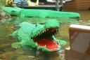 dsc01626.jpg