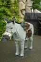 dsc01634.jpg
