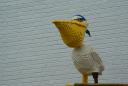 dsc01637.jpg