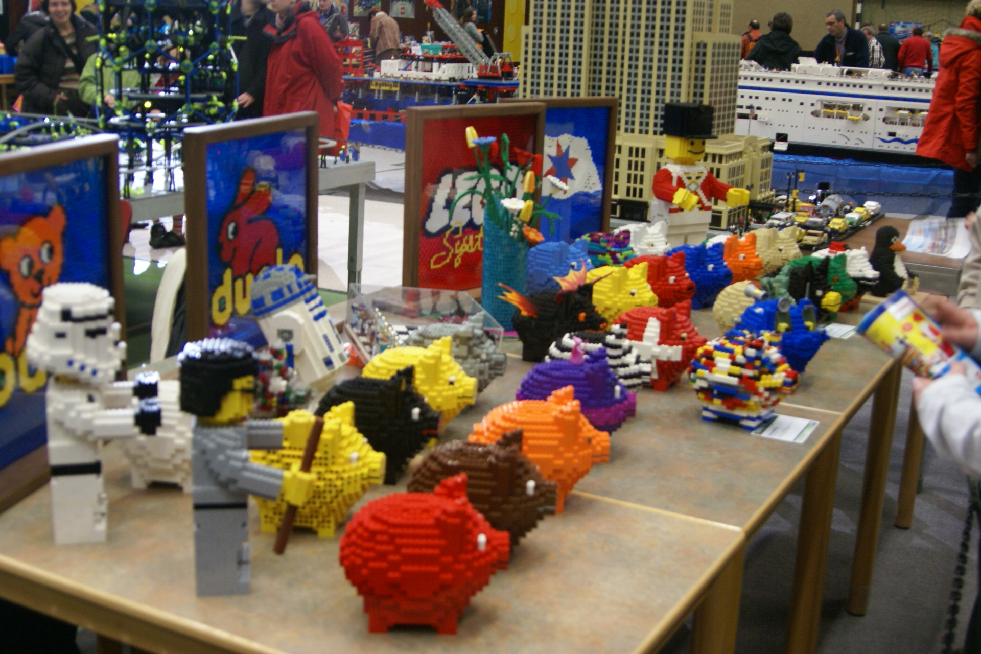 dsc05479.jpg