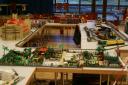 dsc05285.jpg