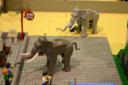 elephants.jpg