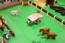 zebras.horses.jpg