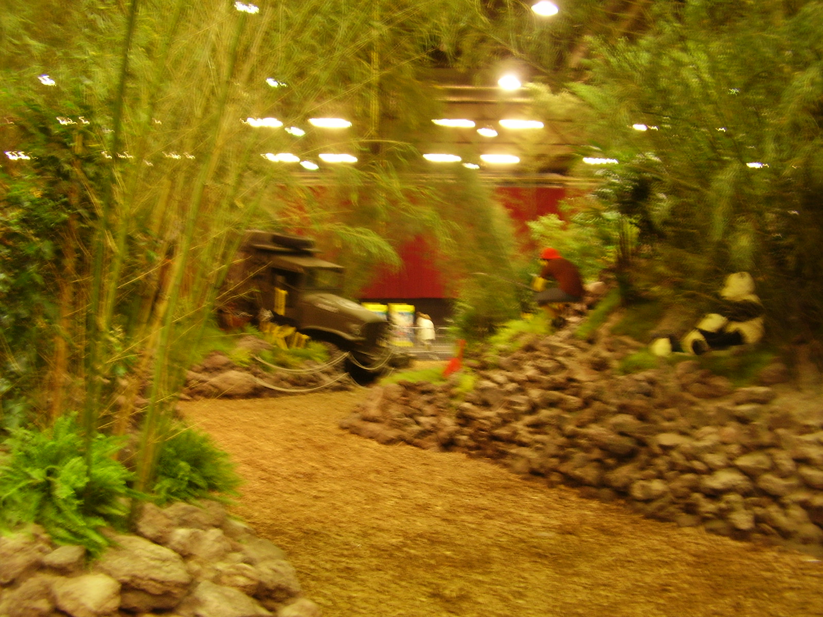 p8110733.jpg
