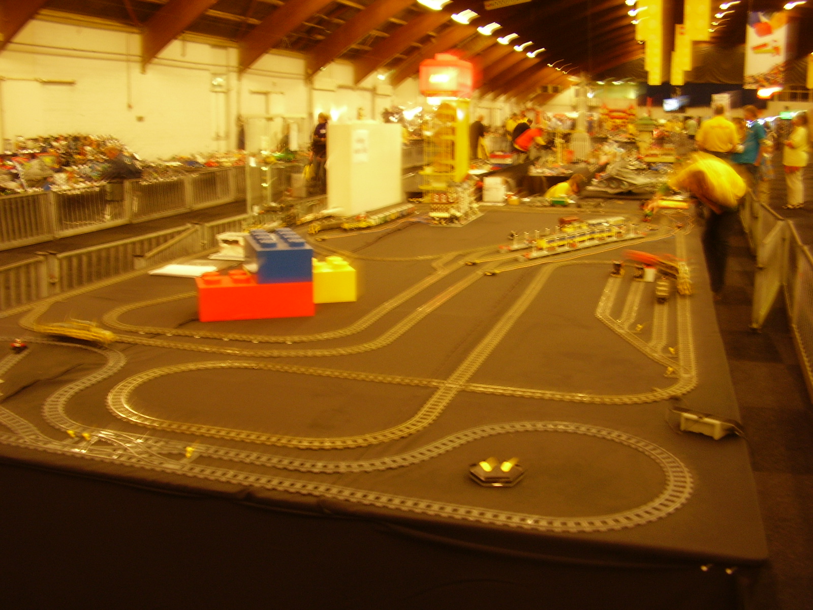 p8110736.jpg