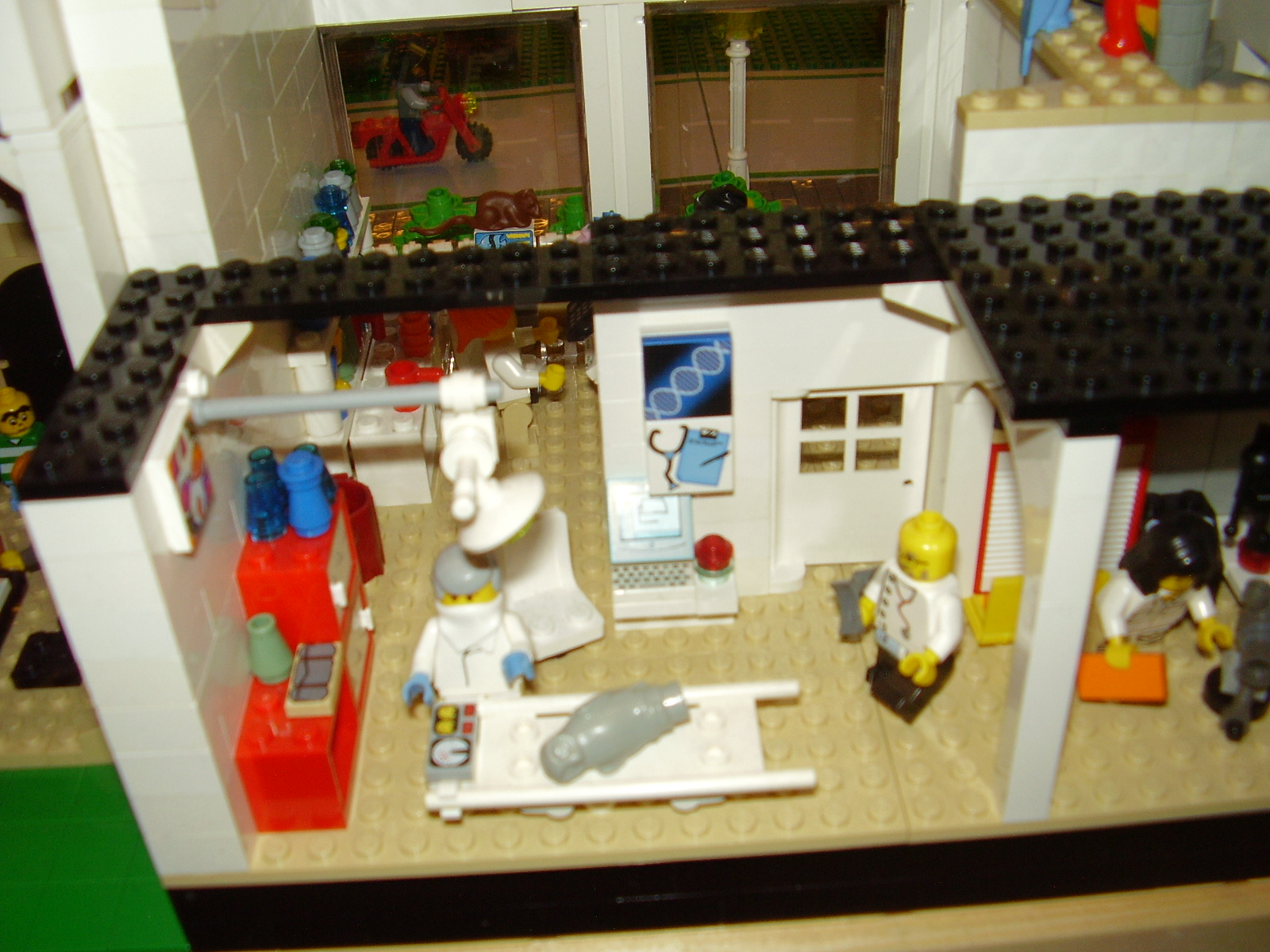 p8110821.jpg