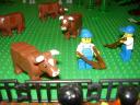 lw2009zoo92.jpg