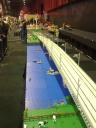 lwzwolle201124.jpg