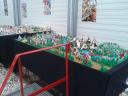 20120807_161314.jpg