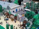 20120808_100928.jpg