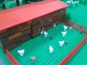 20120808_112125.jpg