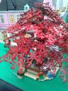 20120809_094018.jpg