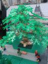 20120809_094028.jpg