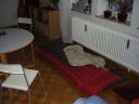 pc100206.jpg