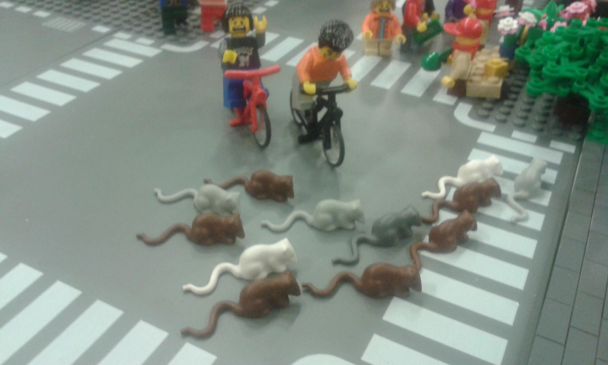20130929_105136.jpg