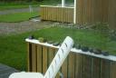 dsc04031.jpg