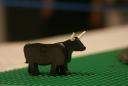 dsc04337.jpg