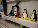 p7190365.jpg