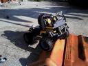 AMELIA