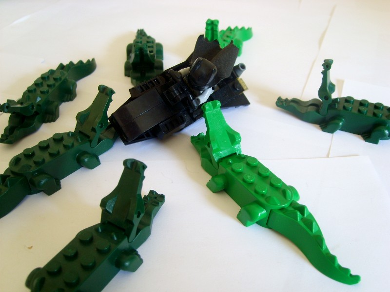 kcroc49.jpg