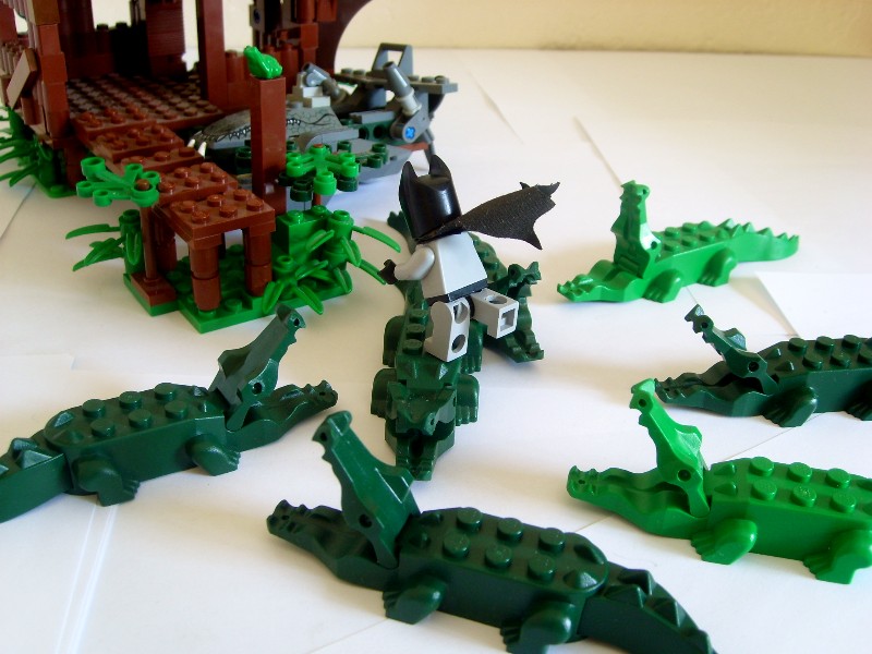 kcroc50.jpg