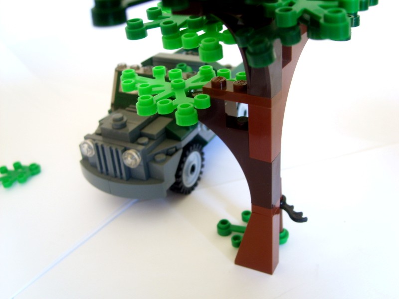 kcroc59.jpg