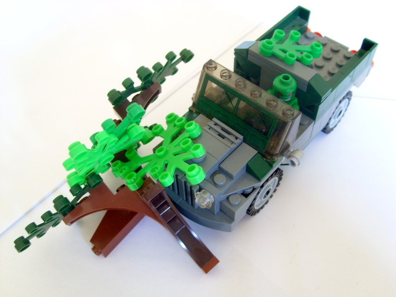 kcroc61.jpg